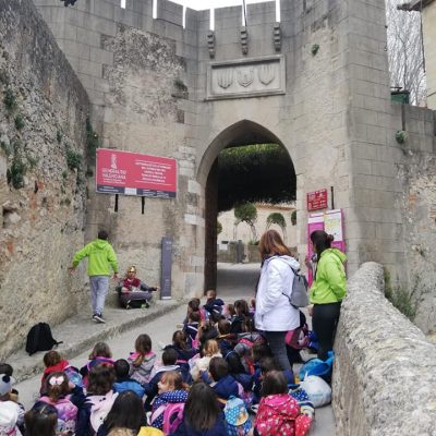 Descubre Excursiones (3)