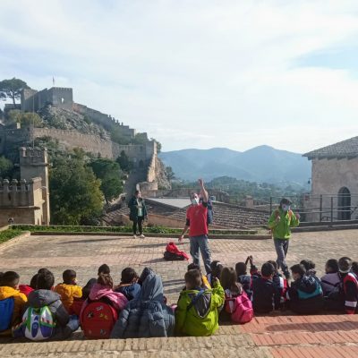 Descubre Excursiones (4)