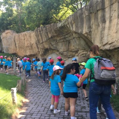 Descubre Excursiones (1)