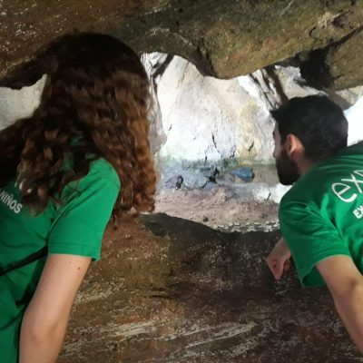 Descubre Excursiones